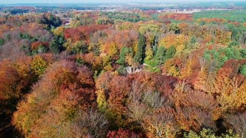Kromlau, Devil's Bridge. Autumn scenery. Drone footag Stock Footage 234346295