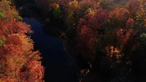 Kromlau, Devil's Bridge. Autumn scenery. Drone footag Stock Footage 234346355