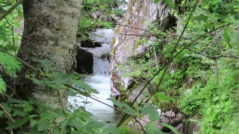 Krummbach stream flowing through austrian alps in Zillertal valley. 스톡 동영상 113422519