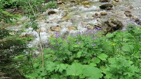 Krummbach stream flowing through austrian alps in Zillertal valley. High taue Video stock 118210553