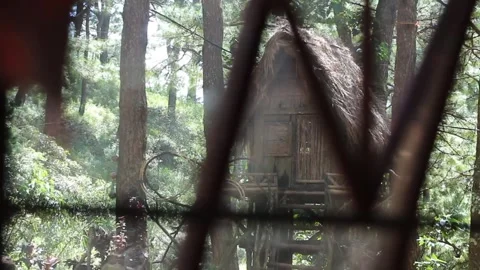 KUBO (2) Stock-Footage 250624838