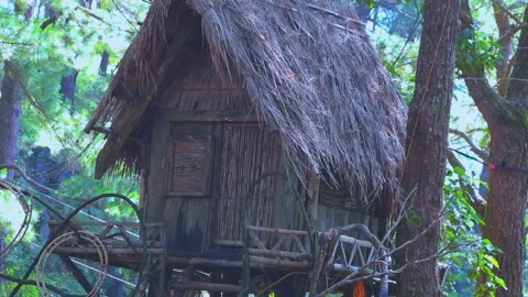 KUBO Stock-Footage 250624795