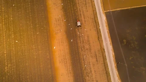 Kubota Stock Footage 149013759