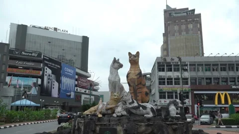 Kuching Statue Stock Footage 241213275