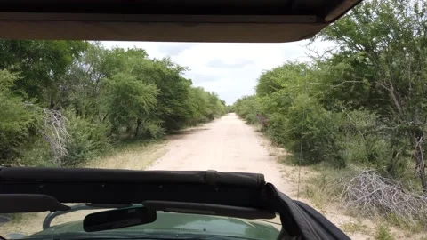 Kudu Antelope Crossing Stock Footage 150410772