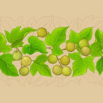 Kukui branches vector pattern on color background Stock Illustration