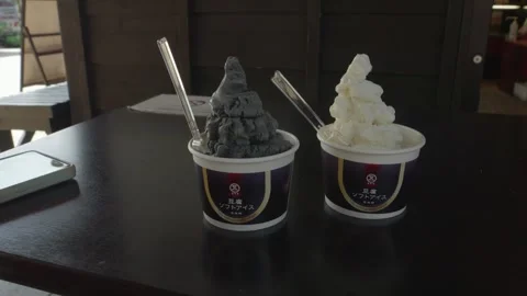 KUMAMOTO, JAPAN - October 24, 2023: Close Up Soy and Sesame Ice Cream Vidéo 265475341