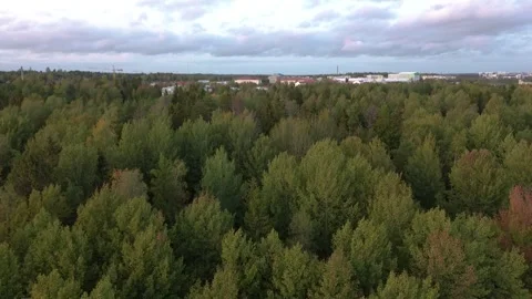 Kumpula public forest park, Helsinki Stock Footage 252379152