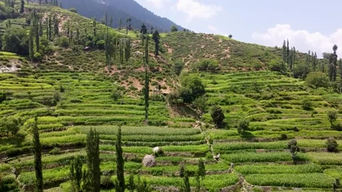Kunar's Lush Landscapes Stock Footage 274868817