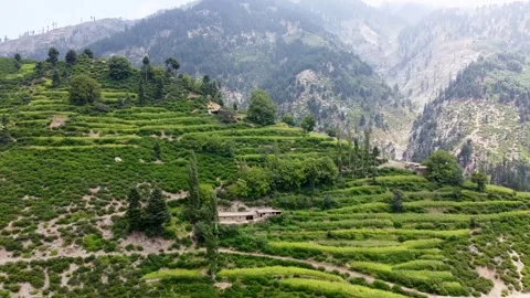 Kunar's Peaks in Verdant Bliss Stock Footage 274869285