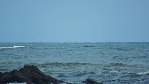 Kunashiri Island Stock Footage 73831414