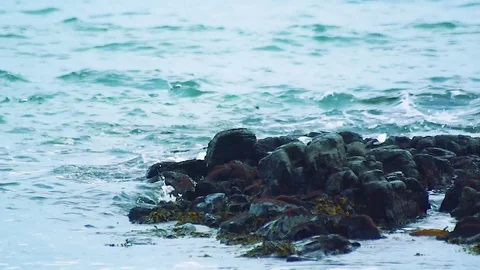 Kunashiri Island Stock Footage 73831593