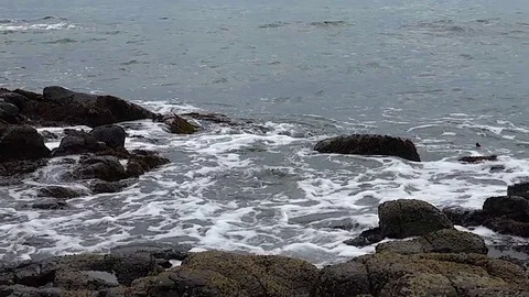 Kunashiri Island Video stock 73831761