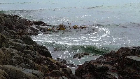 Kunashiri Island Video stock 73831864