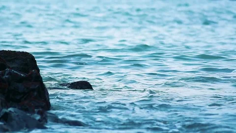 Kunashiri Island Video stock 73831901