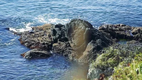 Kunashiri Island Video stock 73832032