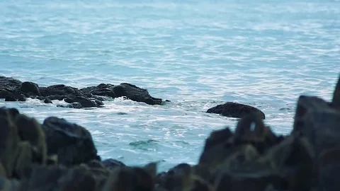 Kunashiri Island Video stock 73832239