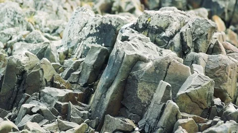 Kunashiri Island Stock Footage 73832269