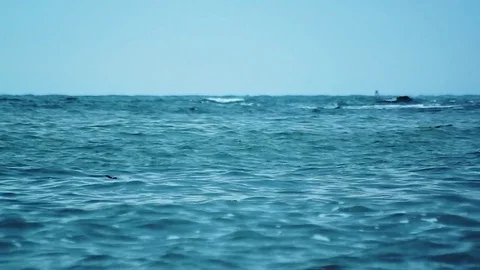 Kunashiri Island Video stock 73832301