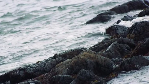 Kunashiri Island Stock Footage 73832332
