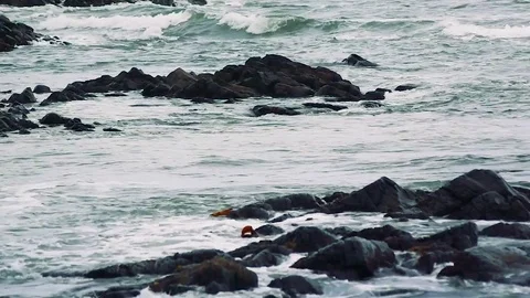 Kunashiri Island Video stock 73832361