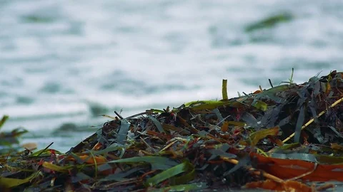Kunashiri Island Video stock 73833182