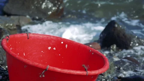 Kunashiri Island Video stock 73833237