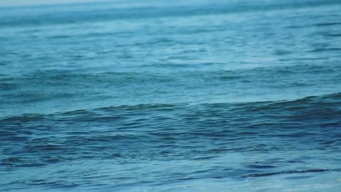 Kunashiri Island Stock Footage 73833300