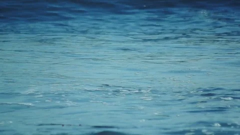 Kunashiri Island Video stock 73833345