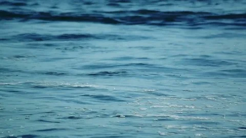 Kunashiri Island Stock Footage 73833355