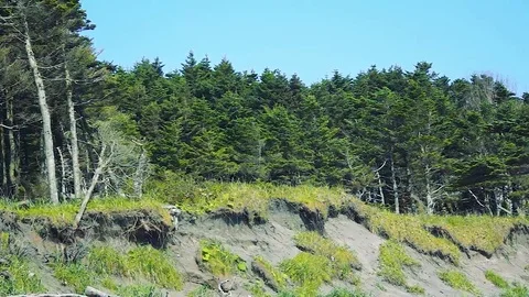 Kunashiri Island Video stock 73833554