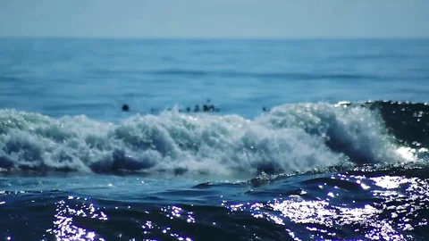 Kunashiri Island Video stock 73833645