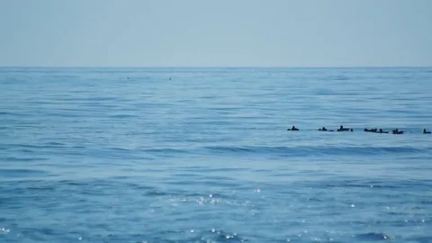 Kunashiri Island Video stock 73833661