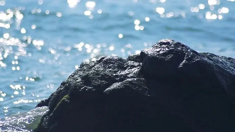 Kunashiri Island Video stock 73833674