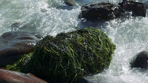 Kunashiri Island Video stock 73833733