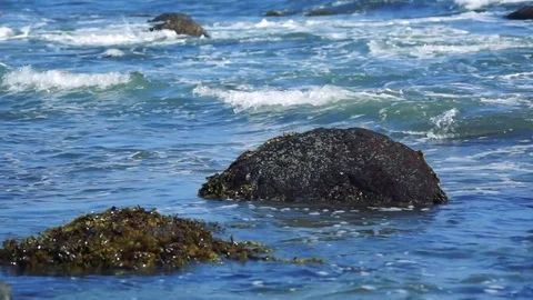 Kunashiri Island Stock Footage 73833769