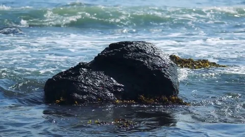 Kunashiri Island Stock Footage 73833802