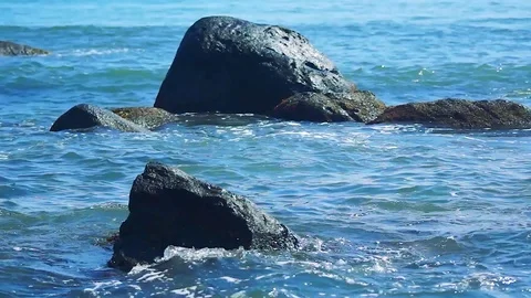 Kunashiri Island Stock Footage 73833821