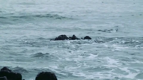 Kunashiri Island Video stock 73833898