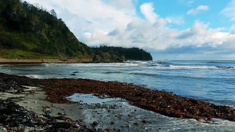 Kunashiri Island Video stock 73833948