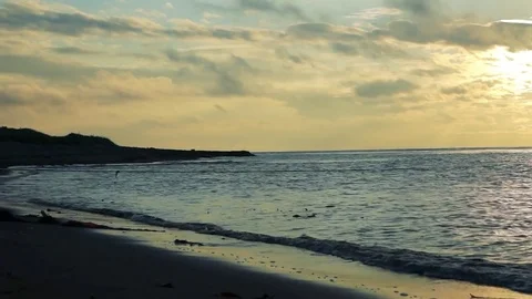 Kunashiri Island Stock Footage 73848930