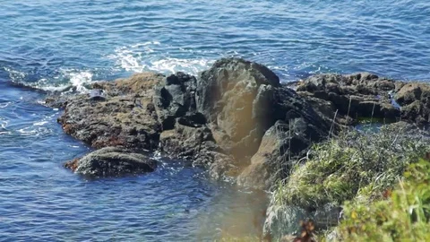 Kunashiri Island Video stock 73852255