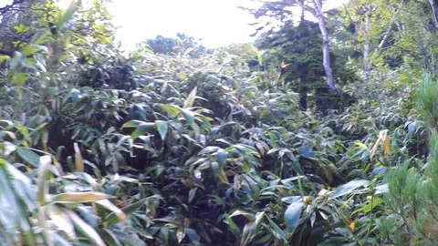 Kunashiri Island Stock Footage 73852310