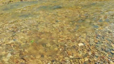 Kunashiri Island Stock Footage 73852376