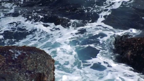 Kunashiri Island Video stock 73852641