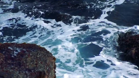 Kunashiri Island Video stock 73852707