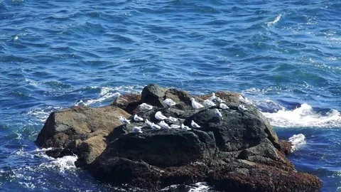 Kunashiri Island Stock Footage 73852717