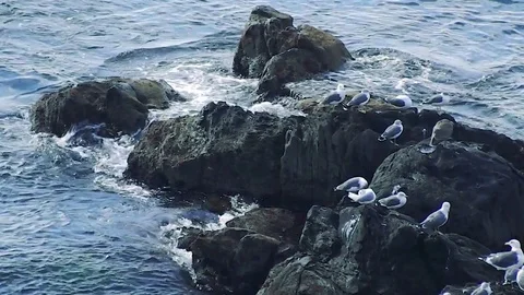 Kunashiri Island Stock Footage 73852724