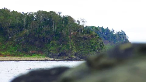Kunashiri Island Stock Footage 73852869