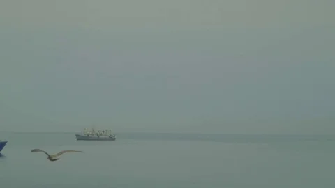 Kunashiri Island Stock Footage 73853452